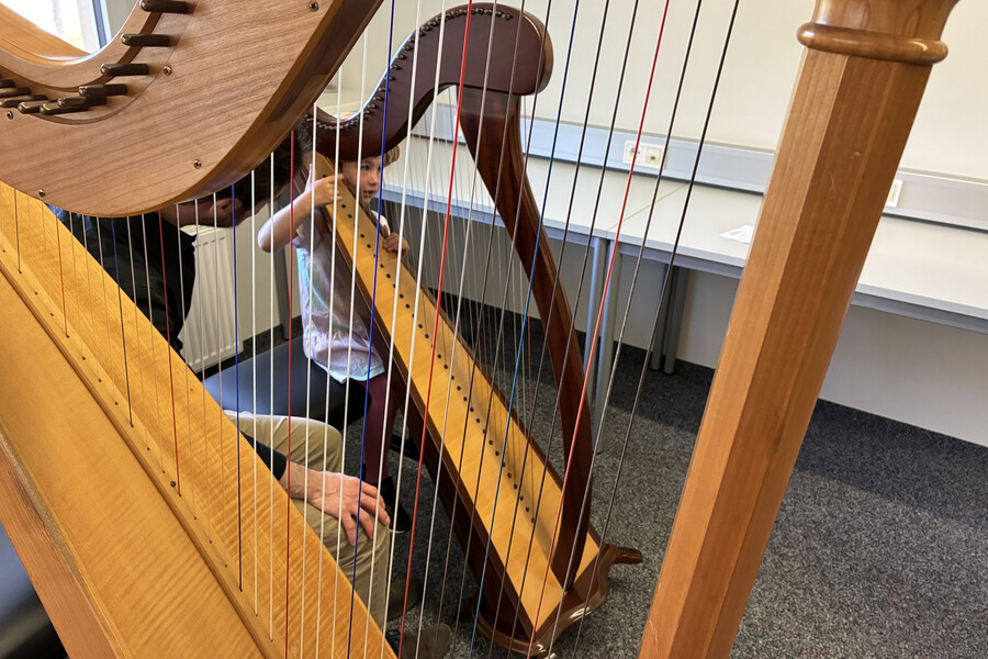 ganz schön viele Saiten hat so eine Harfe